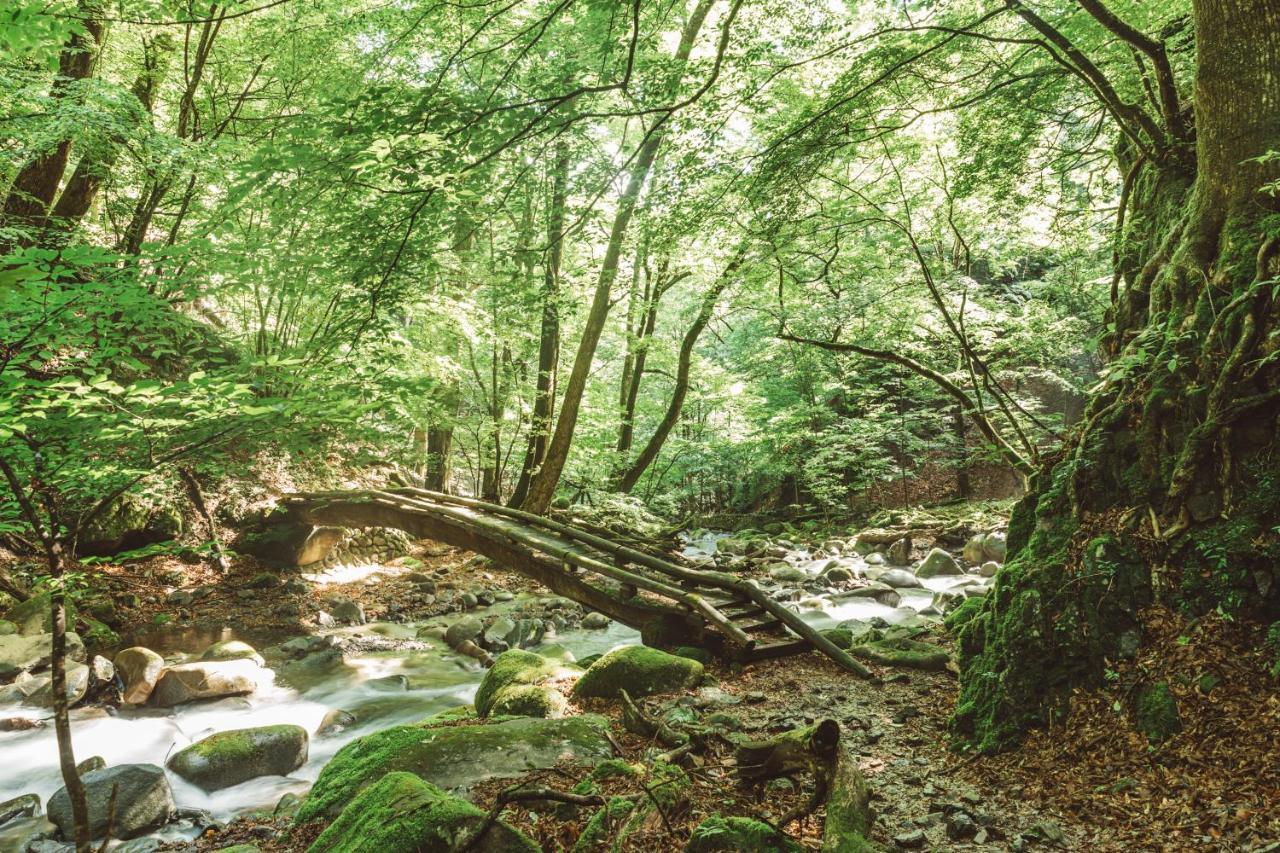 Nipponia Kosuge Village المظهر الخارجي الصورة